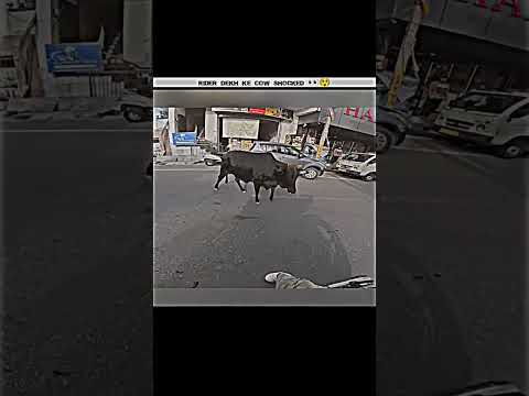 Look at the end Sean #rider #minecraft #minivlog