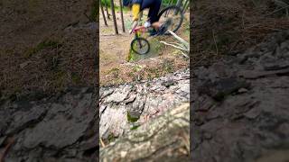 Cyklistické radosti
