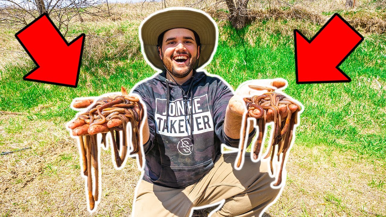 Building a diy worm farm in my backyard! (pet fish feeding)