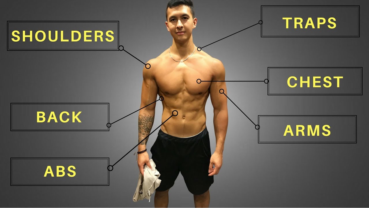 My FULL Training Routine (Workouts, Diet, & Cardio)