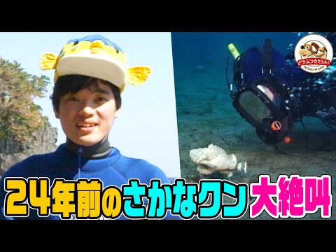 【海底で絶叫】24年前のさかなクンが伊豆の海に潜ったら貴重な○○を発見して大興奮!酸欠寸前になりつつ水中で解説【どうぶつ奇想天外/WAKUWAKU】