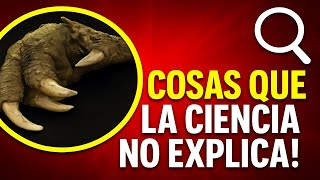 10 Rompedores descubrimientos que se han hecho en los últimos años que ni la ciencia es capaz de exp