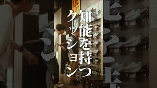 【短編映画（縦型）】知能を持つクッション
