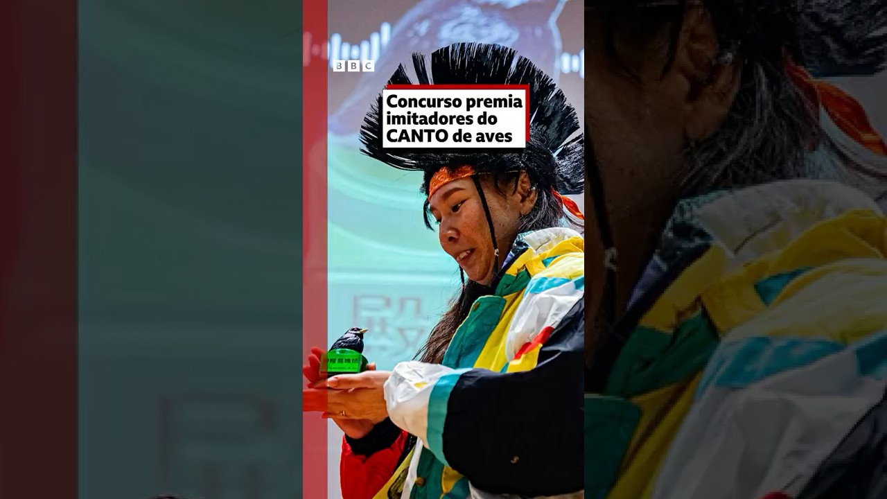 imitadorespassaros
