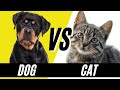 Dogs vs Cats: Which Pet is Right for You?
