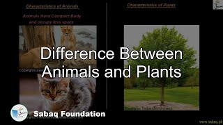 Difference Between Animals and Plants
