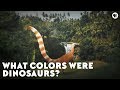 Dinosaur Coloration and Behavior