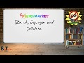 Polysaccharides and Their Functions