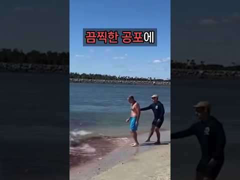 전세계가 경악한 상어의 잔혹함