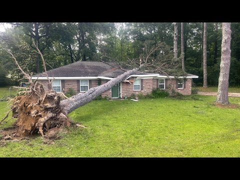 This tree might have totaled this house out