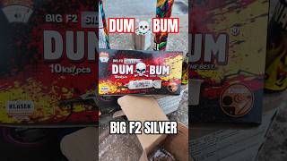 Dum☠️Bum Big F2 Silver💥 #shorts #fireworks #feuerwerk #shortvideo #shortsfeed #firecracker #dumbum