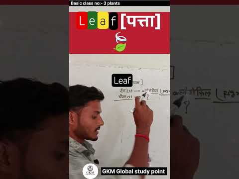 Leaf colour || #shorts 🍀#short#experiment #science #biology  #natureza  #viral #trending