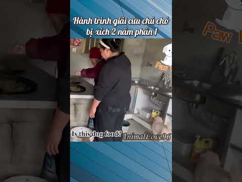 Hành trình giải cứu chú chó bị xích 2 năm phần 1