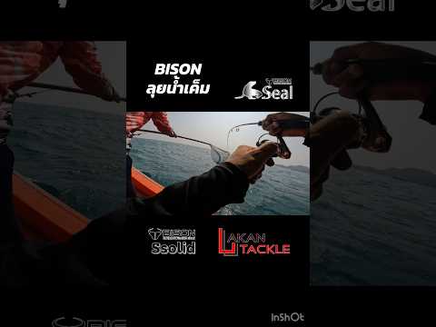 BISON ลุยน้ำเค็ม #akan #bison #ssolid #seal #fishing