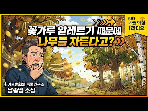 일본에선 꽃가루 <strong>알레르기</strong> 때문에 나무를 자른다?_KBS오늘아침1라디오_기후변화와 동물연구소 남종영 소장_260911금