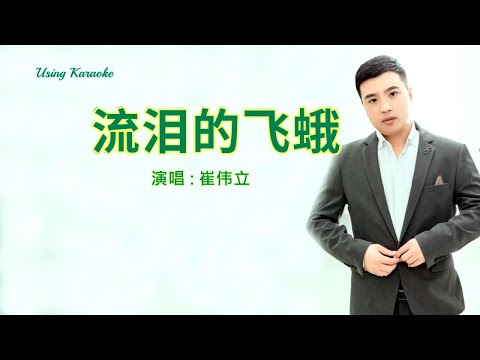 流淚的飛蛾-崔偉立-伴奏 KARAOKE