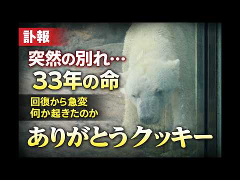【訃報】愛されたクッキー死去…33年の生涯と最後の數日
