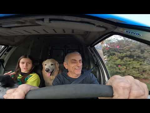 KLE 621 FULL & GIOVANA CANA BRASIL & PATRULHA CANINA NO UBER ESCOLAR 29-08-2024 PARTE 2