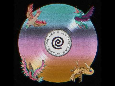 Mr. Belt & Wezol, RUZE - Ain't Nobody (Goosey Remix)