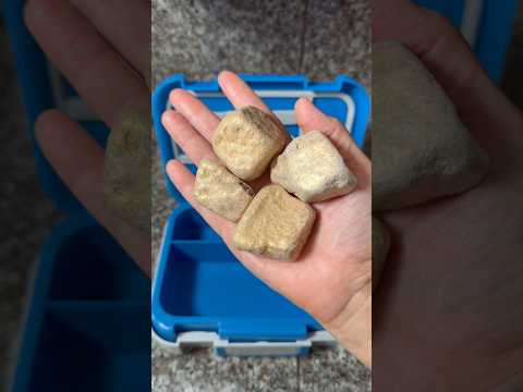 Packing School Lunch *ONLY CANDY ROCKS* #shorts