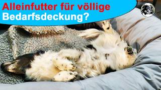 Alleinfutter - Die Lösung für eine gute Versorgung deines Hundes?