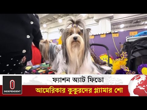 "কুকুরের স্টাইল স্টেটমেন্ট: আমেরিকার প্রাচীনতম ফ্যাশন শো" | Dog Fashion Show | World