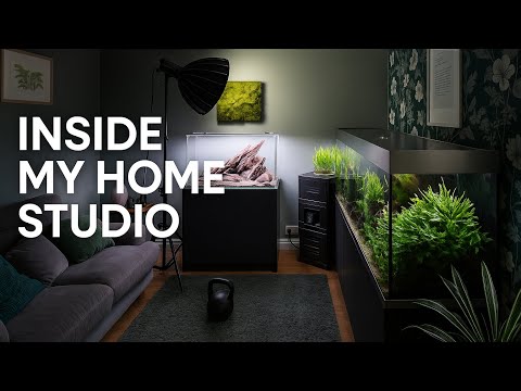 FULL HOME AQUASCAPE STUDIO TOUR *NEW SCAPE* 4K OASE EcoFlow internal filter - https_//us.oase.com/collections/ecoflow-internal-filter?utm_source=Ge