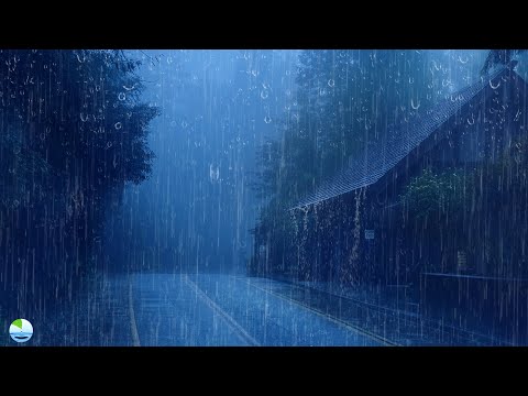 Barulho de Chuva para Dormir Profundamente e Relaxar - Som de Chuva e Trovões à Noite - ASMR Sleep
