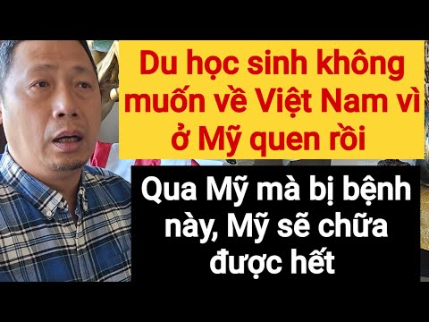 Du học sinh ở Mỹ phải trở về Việt Nam vì cái bệnh chảnh