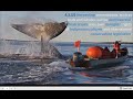 Aquatic Systems and Environmental Impact