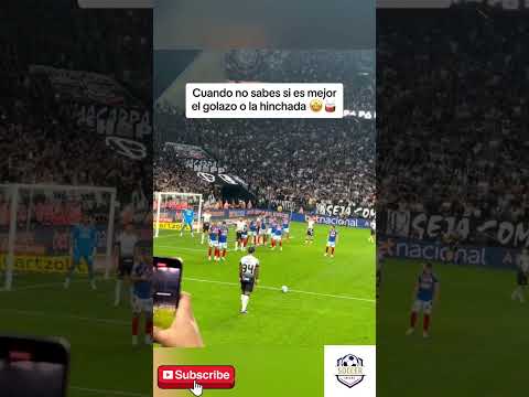 En esta jugada no sabes si es mejor la afición o el gol 🤩 #futbol #soccer #shorts #reels #messi