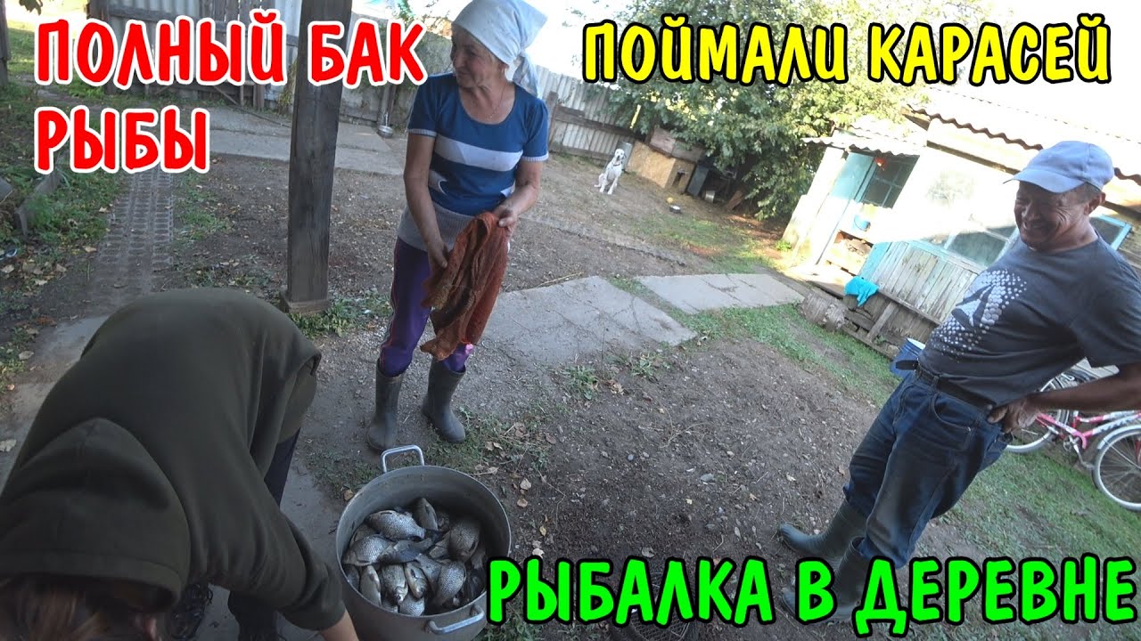 Наловили много карасей - бабушка пожарила рыбу - рыбалка в деревне