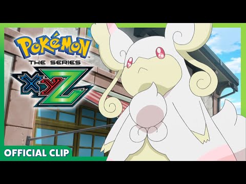 Pokemon TCG News