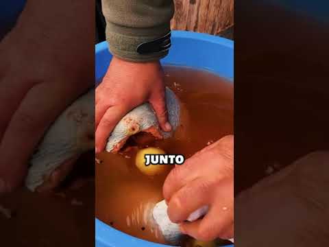 🦚🔪✨🔥El Ave más GRANDE del MUNDO 🌍✨😱