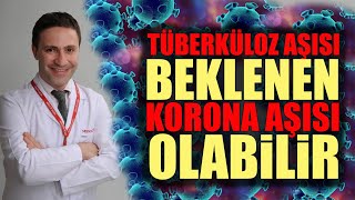 Doç. Dr. Şevket Özkaya: "Tüberküloz aşısı beklenen korona virüs aşısı olabilir"