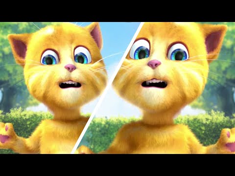 Talking Ginger