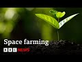 Growing Plants in Space