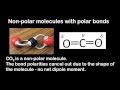 Molecular Polarity and Shapes
