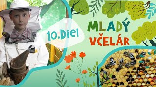 Včely- Mladý včelár alebo Ako sa stať včelárom - Záhady z lesa a záhrady #10 -