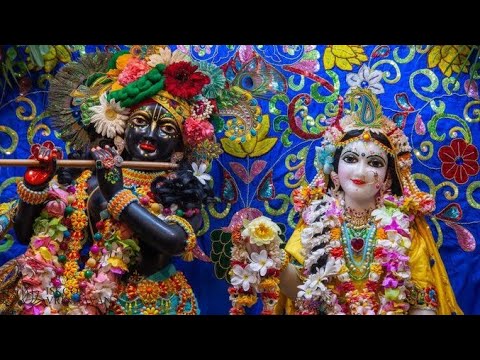 🔴 live channel checking promotions freelGet 10+ Subscribe Free | Live Channel Checking l livestream