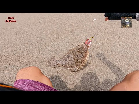 Este señuelo es letal para lenguados. || My new lure for flounder.