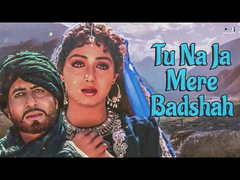 Tu Na Ja Mere Badshah - Khuda Gawah | Amitabh Bachchan, Sridevi | Mohd, Alka Yagnik | Sad Hindi Song