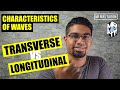 Wave Properties and Motion Concepts