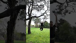 HOW TO: Safely climb a tree