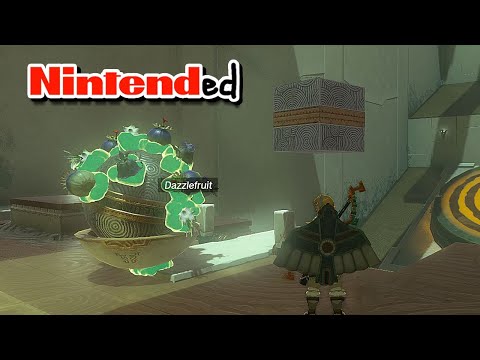 ALL Rospro Pass Shrines, Nintended, Fast, & Dumb Ways Zelda Tears of The Kingdom | Totk