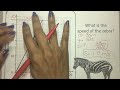 Calculating Speed from Distance/Time Graphs