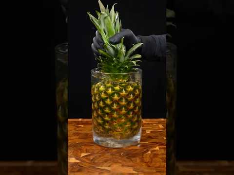 𝗠𝗲𝘅𝗶𝗰𝗮𝗻 𝗧𝗲𝗽𝗮𝗰𝗵𝗮 Recipe 🍍✨ | Refreshing Fermented Pineapple Drink #shorts