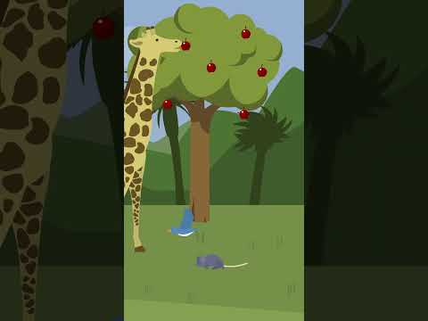 जिराफ और चुंहा | One Minute Story | Cartoons | #cartoonanimal