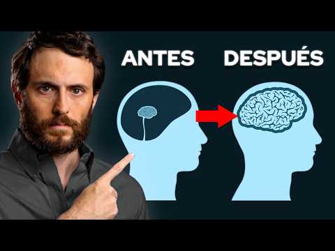 Cómo Mejorar la Función Cerebral con Nootrópicos, Ejercicio y Más