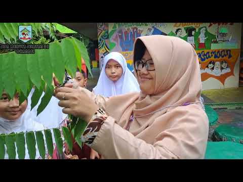 Pembuatan ECO Printing 